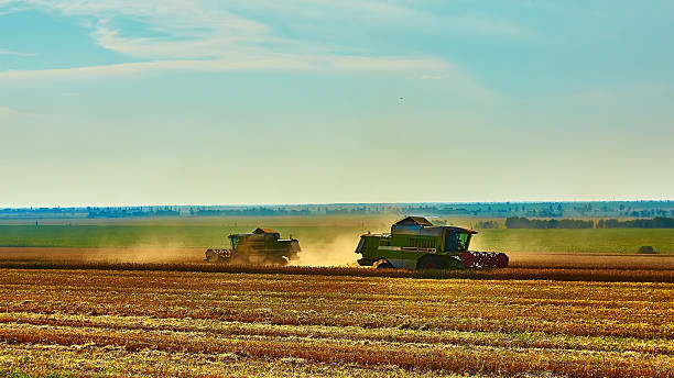 istock Harvester combine harvesting wheat on summer day 496025646