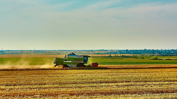 istock Harvester combine harvesting wheat on summer day 496025676