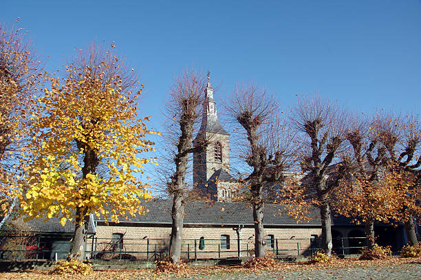 istock Historical scene in Autumn Colors 496026688