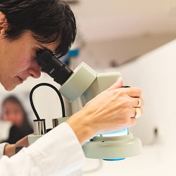 la investigación científica - research clean room laboratory genetic modification fotografías e imágenes de stock