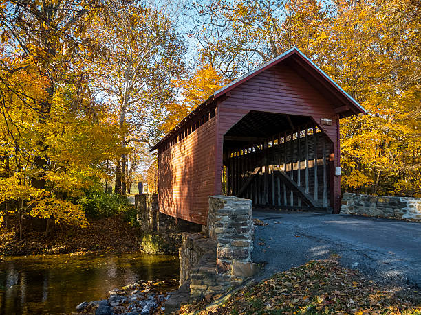 Roddy Road Covered Bridge and Yellow Autumn Leaves stock photo