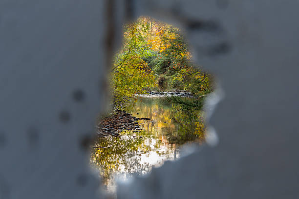 istock Autumn Colors Seen Through a Ragged Wooden Hole 496027976