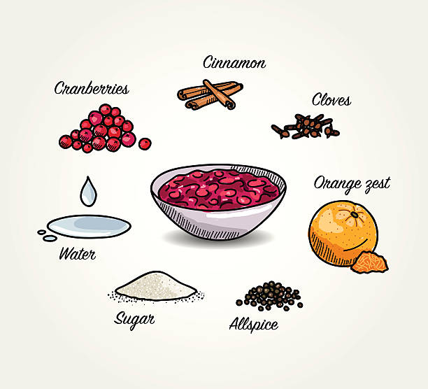 Sketched Cranberries Sauce Ingredients Vector cartoon sketched illustration of American Cranberries Sauce for Thanksgiving in a bowl. Around it are ingredients - Cranberries, Cinnamon, Cloves, Orange zest, Allspice, Sugar and Water. Illustration is isolated on white background. cranberry sauce stock illustrations