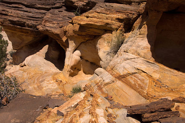 istock Capitol Reef NP, Utah, USA 496029712