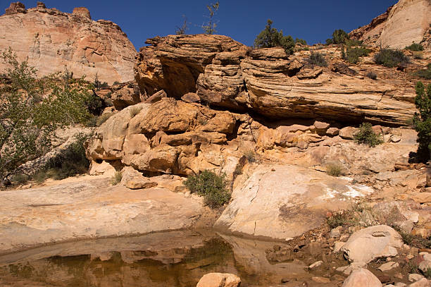 istock Capitol Reef NP, Utah, USA 496029770