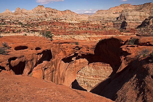 istock Capitol Reef NP, Utah, USA 496029852