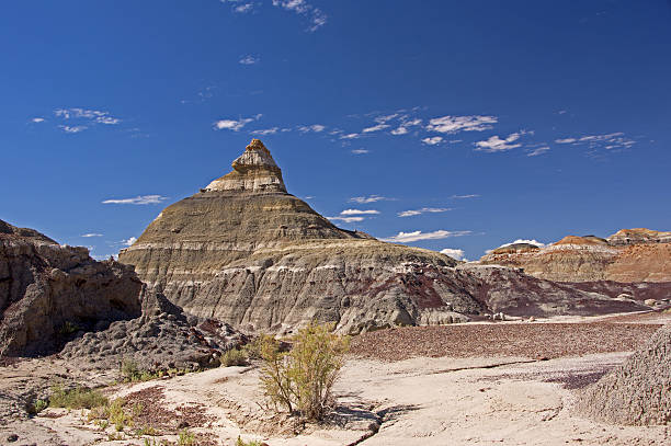 istock Bisti Badlands, New Mexico, USA 496031308