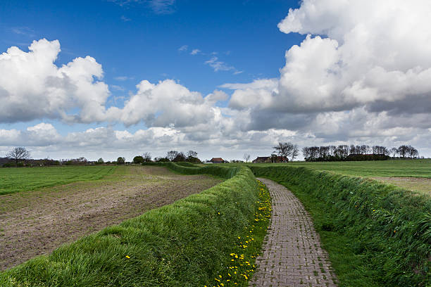 istock Cobblestone road in a pasture in The Netherlands 496031463