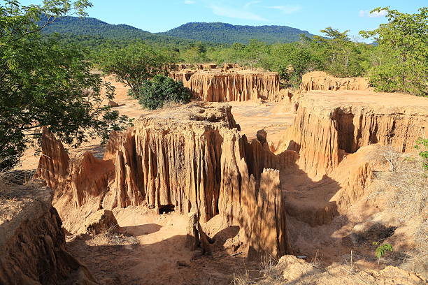 istock Lalu is natural wonders 496032089