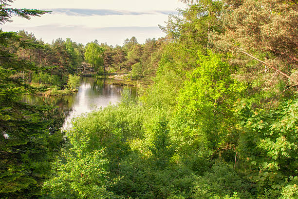istock Photo taken in Norway 496033539