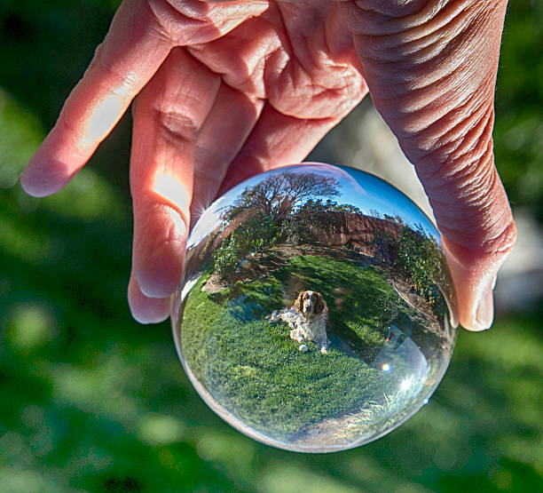 istock Dog in a Hand Held Crystal Ball Close Crop 496034133
