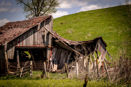 Ramshackle old shed up against the background of a lush green pasture