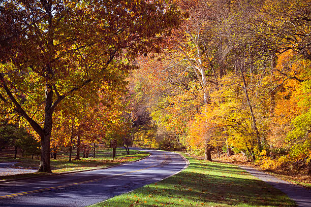 Country road in autumn - Rock Creek Park, Washington DC