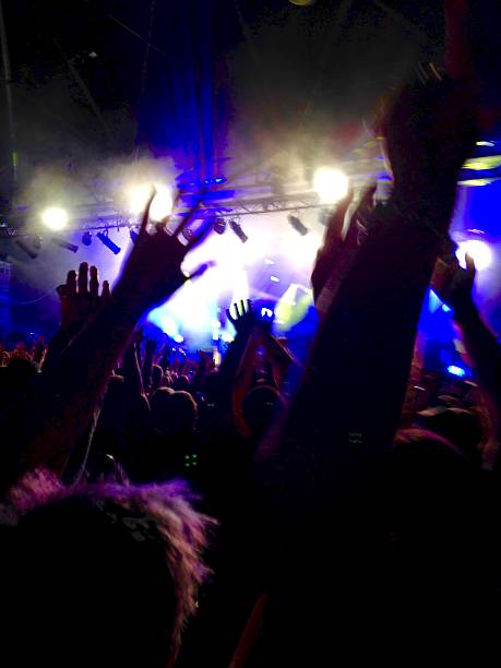 istock Hands waving at the music 496035322