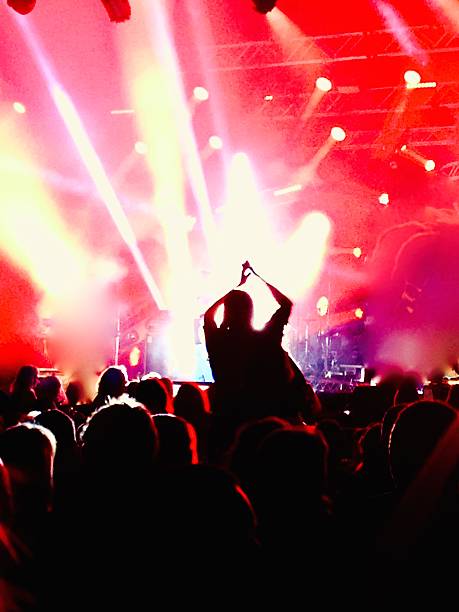 istock Female enjoying the concert 496035352
