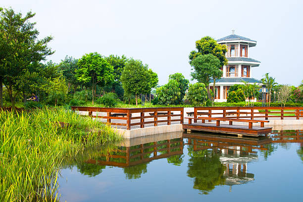 Chinese garden landscape