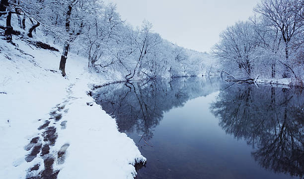 istock Winter landscape with river in forest 496036920