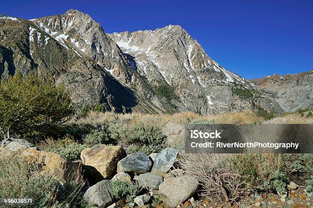 Parco Nazionale Di Yosemite - Fotografie stock e altre immagini di Ambientazione esterna - Ambientazione esterna, Ampio, Area selvatica