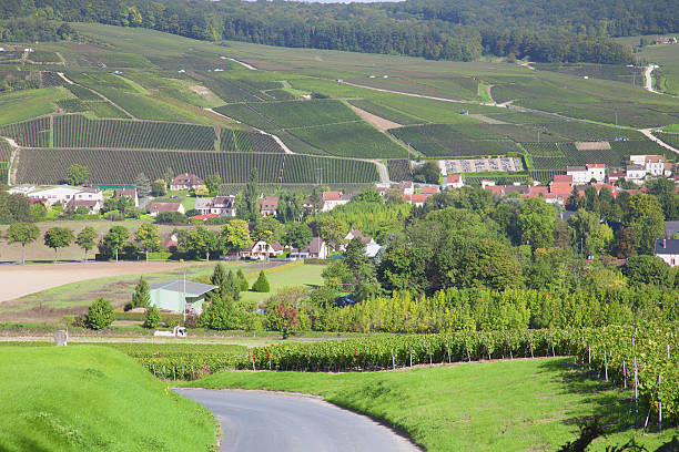 istock Burgundy region 496038622