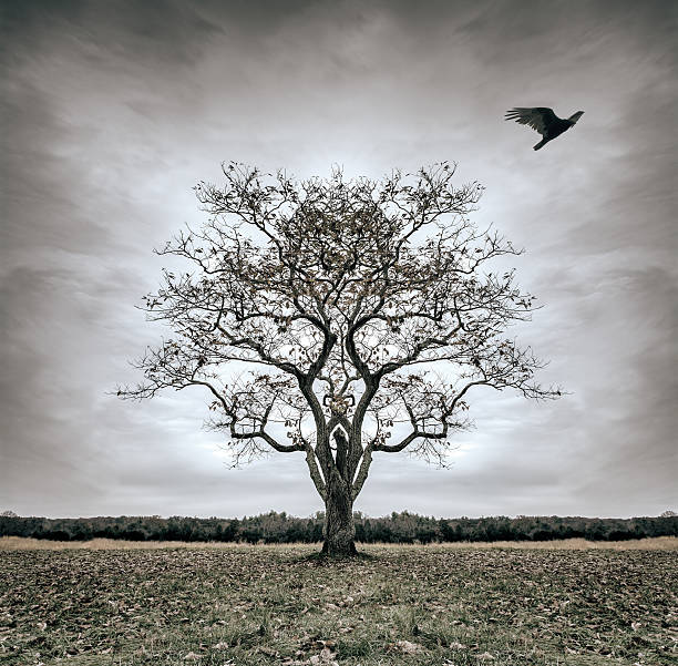 Forsaken Tree of Desolatation stock photo