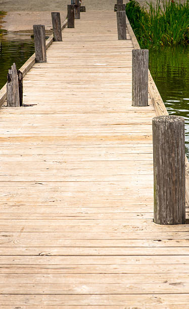 istock Walkway pier to sailing boats on lake 496061084