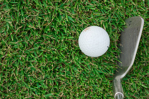 istock Golf club and ball in grass 496062624