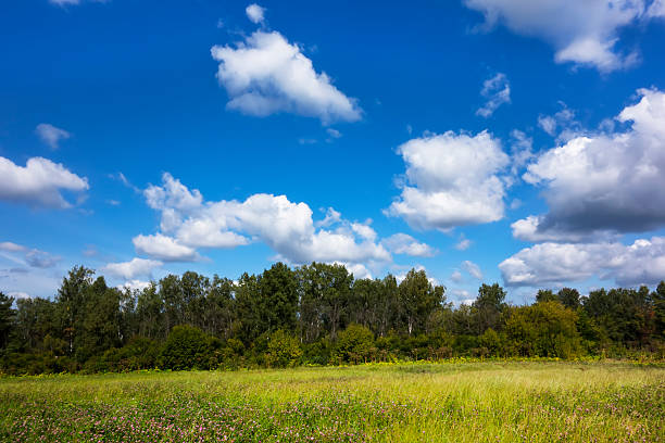 istock Sunny Day in Mamontovka Village 496063610