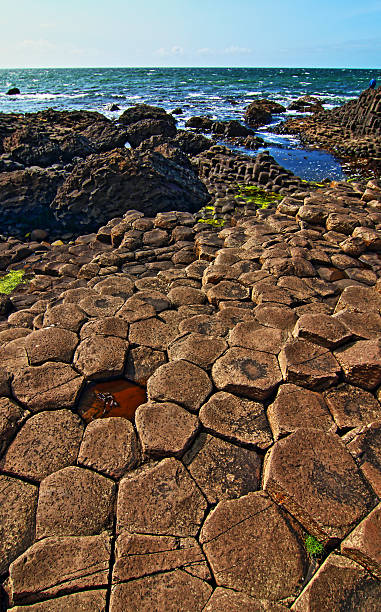 giant's causeway basalto columnas que rodean la piscina tide - national trust northern ireland uk rock fotografías e imágenes de stock