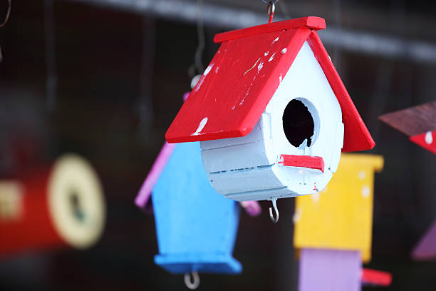 istock colorful wooden bird house 496064560