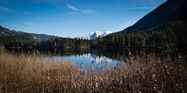 istock Mountain  and lakeview at Hintersee in Bavarias Berchdesgaden 496064994