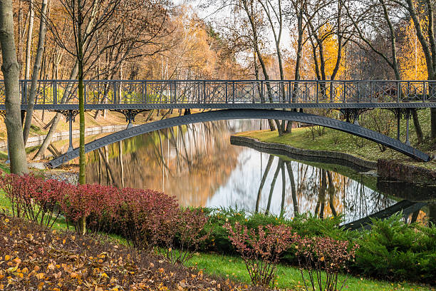 istock Beautiful bridge over the lake 496065016