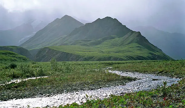 Fairbanks, Alaska, USA: Mountain and stream mirror each other in this scene near Fairbanks. Green summer growth balances the silver mountain stream. Scan from Velvia transparency