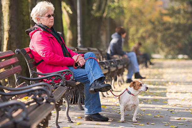 istock Old woman with a dog 496065224