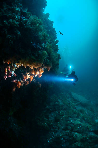 어드벤처, 여러분 대답과 제 대답을 비교하십시오. - underwater mine 뉴스 사진 이미지