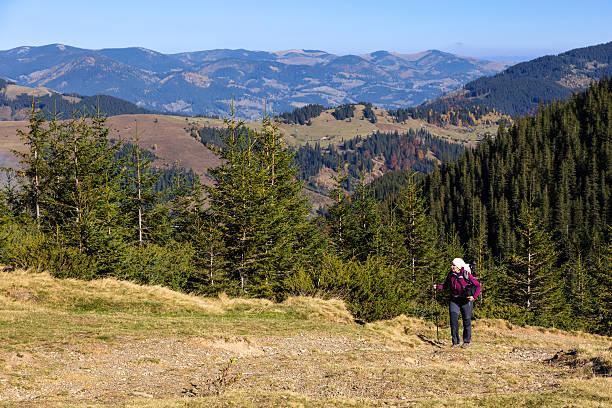 istock Female Hiker Walking on Pathway in Autumnal Forest 496070924