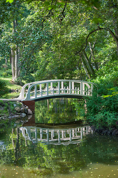 istock White bridge across the river in the forest. 496071220