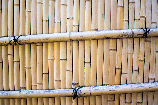 istock Background of a bamboo fence 496074226