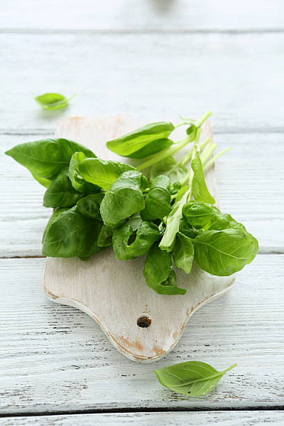 istock Fresh leaves of basil on the board 496093714
