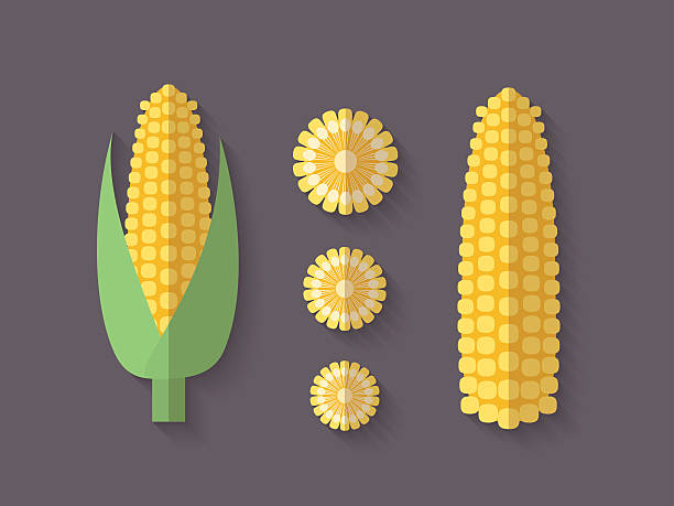 Square Corn Shape 7,500+ Cross Section Of Corn Stock Photos, Pictures & Royalty-Free ...
