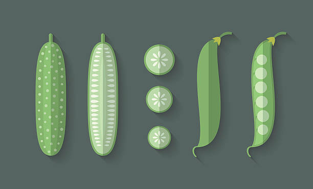 illustrazioni stock, clip art, cartoni animati e icone di tendenza di set di verdure nel piatto stile-tagliato - healthy eating green pea snow pea freshness