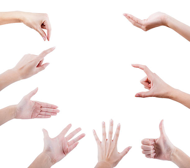 istock Collage of woman hands on white backgrounds. 496101154