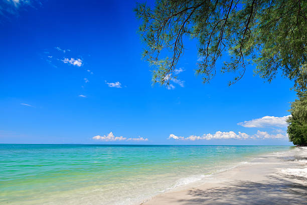 sea beach blue sky sand sun daylight relaxation landscape stock photo