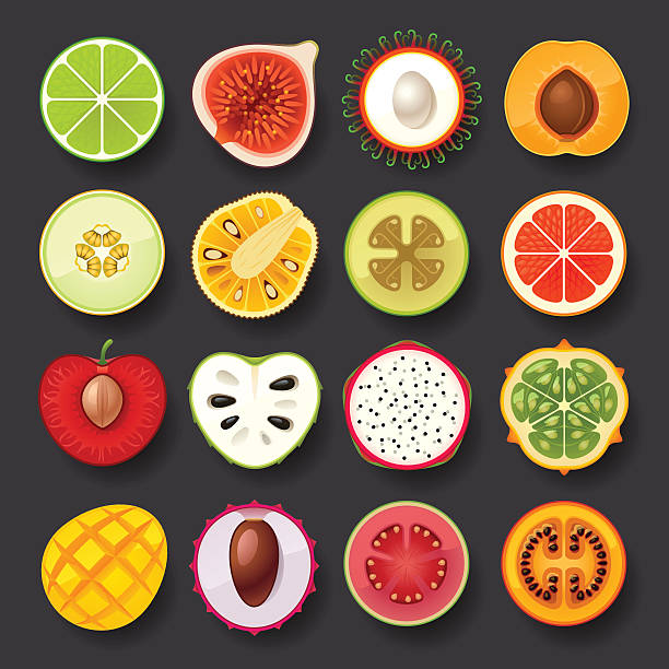 illustrations, cliparts, dessins animés et icônes de ensemble d'icônes de fruits, 2 - kawani fruit