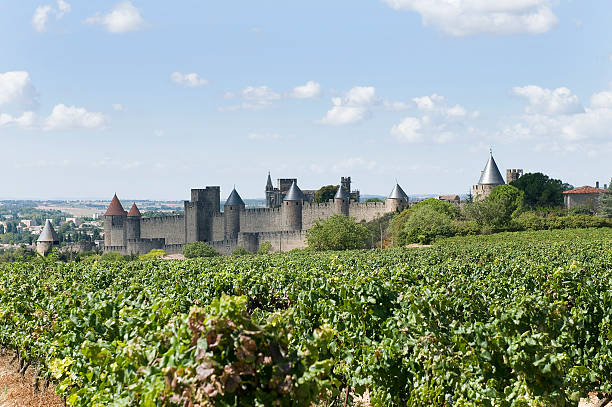 istock City walls 496103952