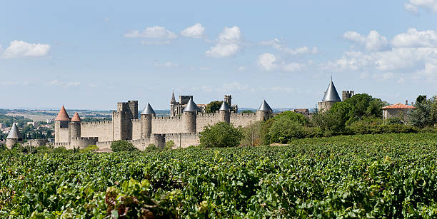 istock The city walls 496104128