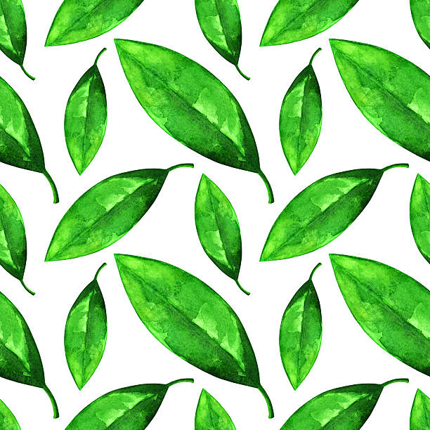 illustrations, cliparts, dessins animés et icônes de motif sans couture aquarelle avec feuilles vertes - seamless bamboo backgrounds textured