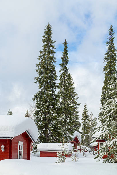 istock Red winter cottages portrait 496104810