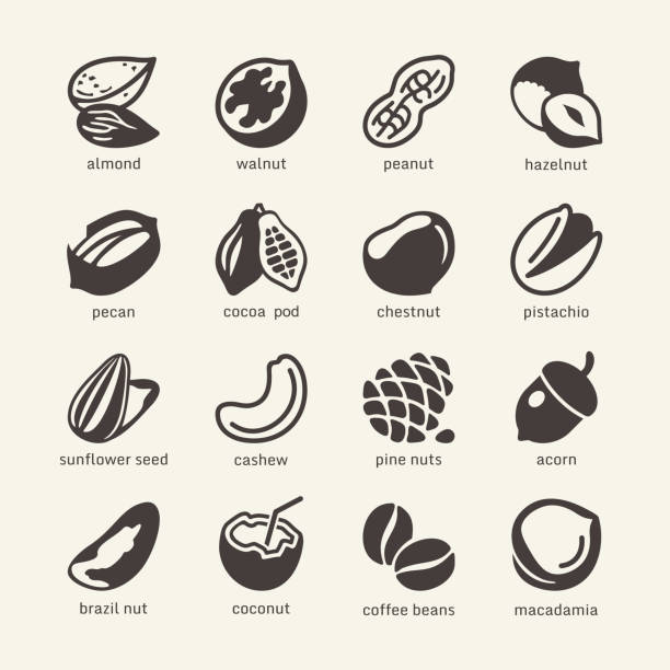 nüsse-web icons set - pine nut nut seed vegan food stock-grafiken, -clipart, -cartoons und -symbole