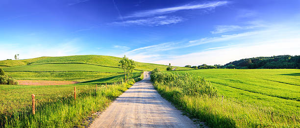 istock Sunset Rolling Landscape - Dirt Road, Meadows and Wheat Fields 496108983