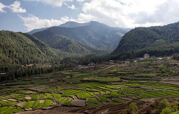 istock Landscape at Paro, Bhutan 496109027
